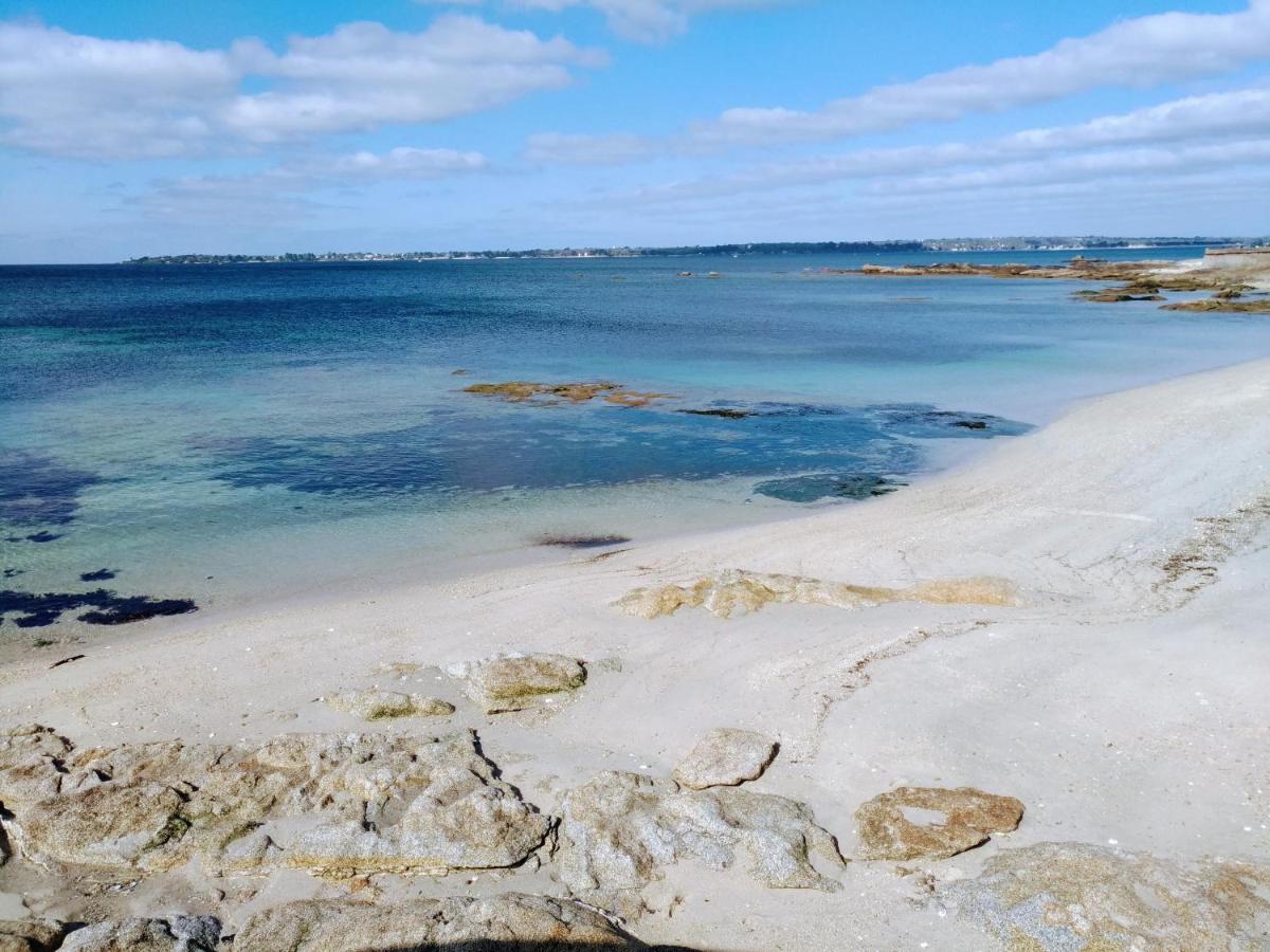 L'Ocean A 100M Via Une Venelle Privee, La Ville Close A 500M, L'Archipel Des Glenan A L'Horizon Concarneau Εξωτερικό φωτογραφία
